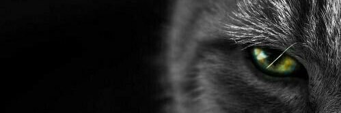 zigowt's profile banner image