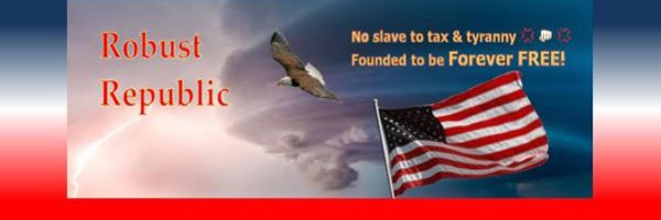RobustRepublic's profile banner image