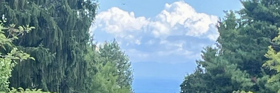 skydog3412's profile banner image
