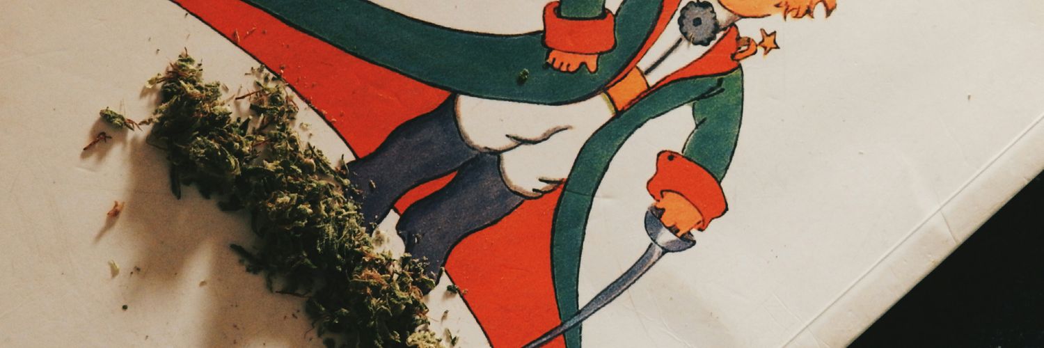 Pulenttta's profile banner image