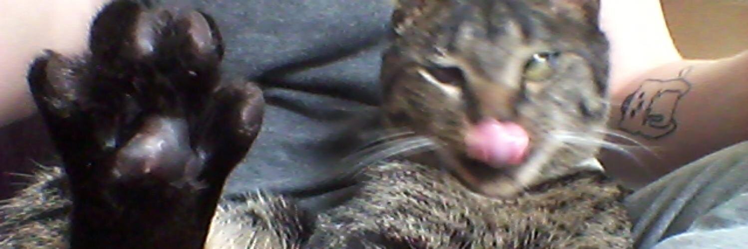 lulexilu's profile banner image