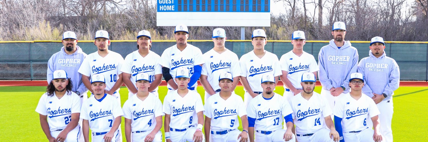 Gopher Baseball banner