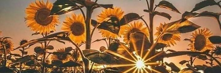 rick_godoy's profile banner image