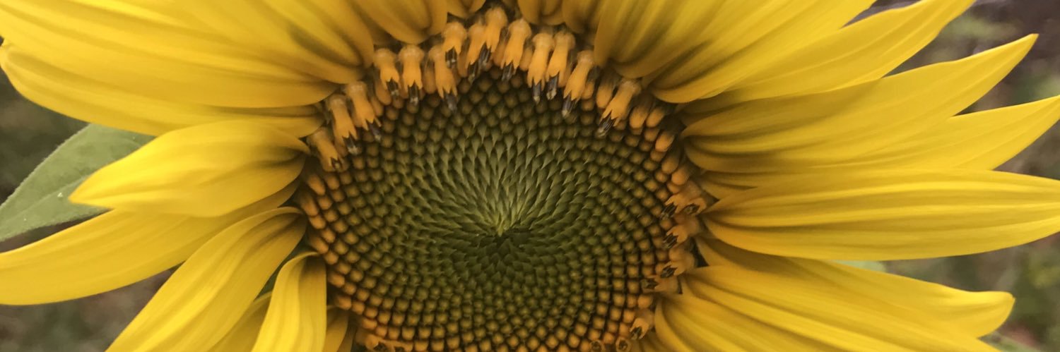m08159's profile banner image