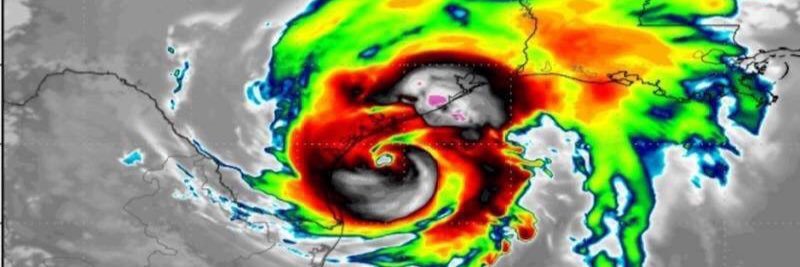 AlanaB banner