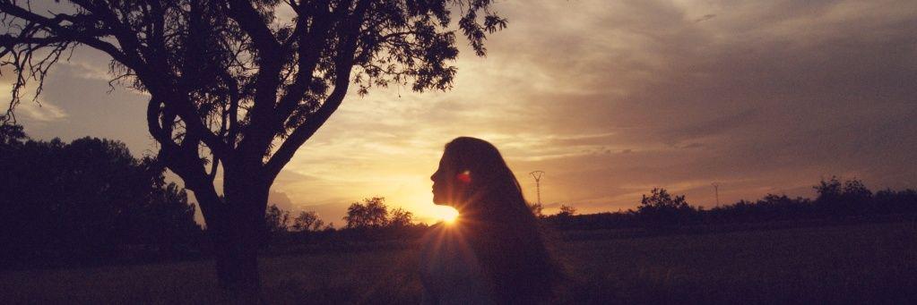 sirenepm's profile banner image