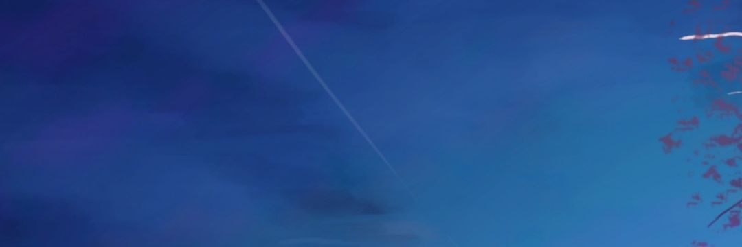 niklaus_maickls's profile banner image