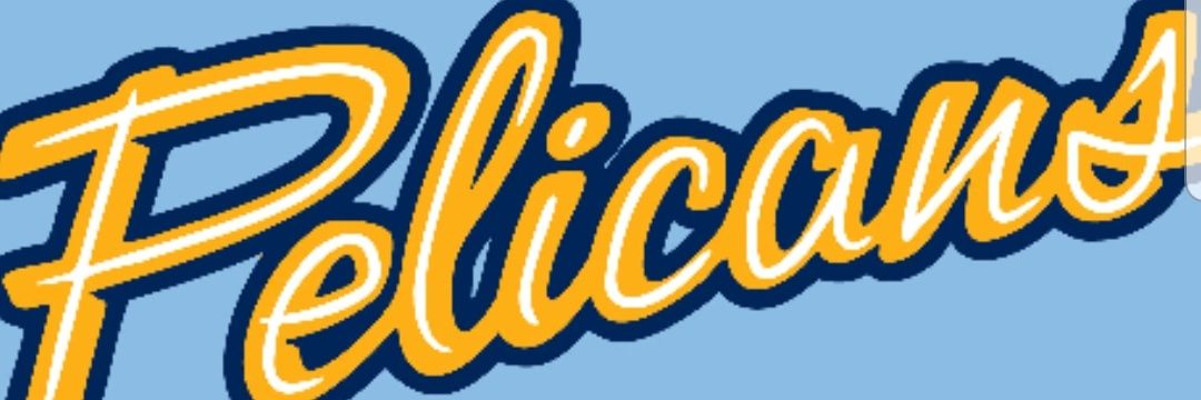 Pelham Baseball banner