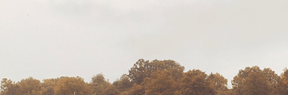 solene_roigt's profile banner image