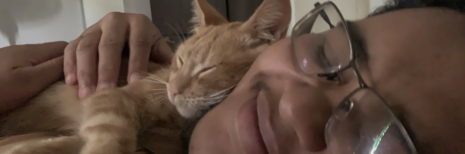anaflsv's profile banner image