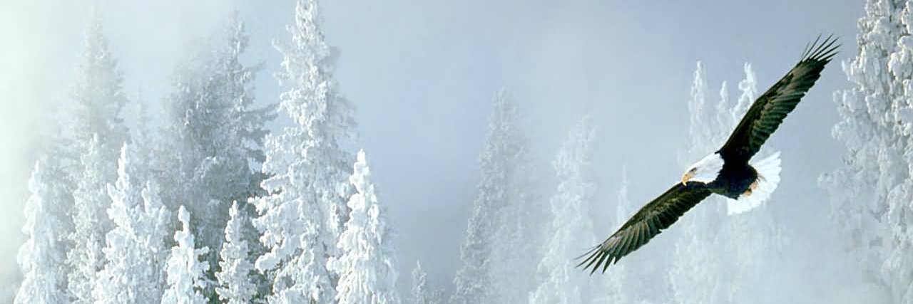 mikeyboy50's profile banner image