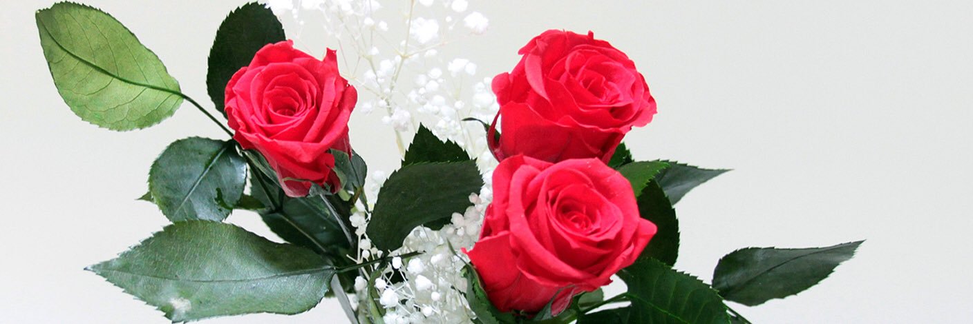 Euroflorasrl's profile banner image