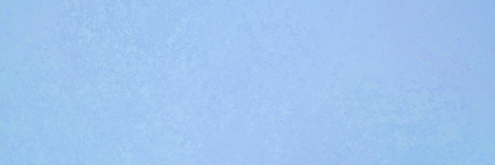 Sammenez's profile banner image