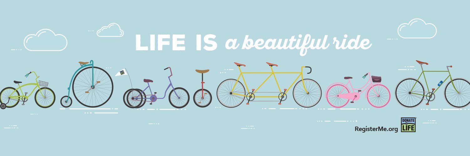 Kate Wilcox-Harris banner