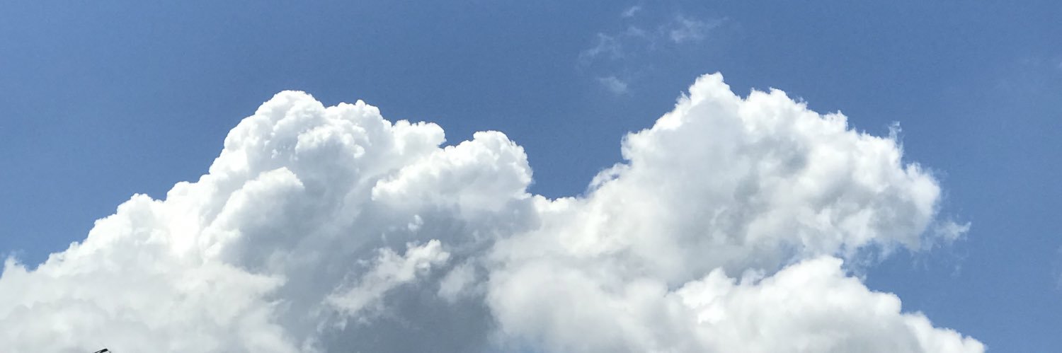 novytaindah's profile banner image