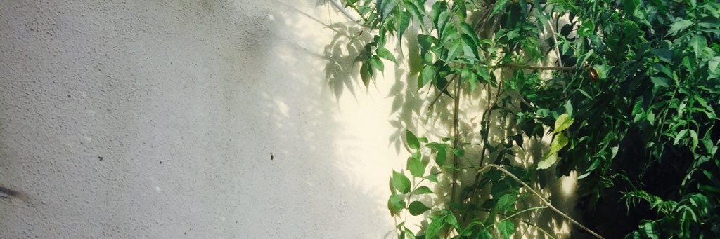_aaliyahgreen's profile banner image