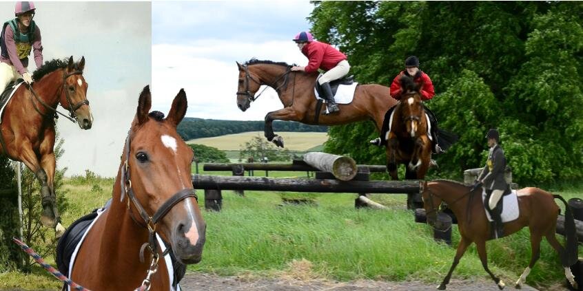 Christine Buckle banner