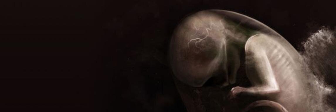 onguot's profile banner image