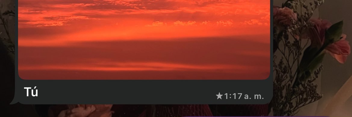 bubblepxstel_'s profile banner image