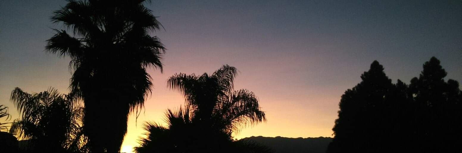 vicky_ruiz15's profile banner image