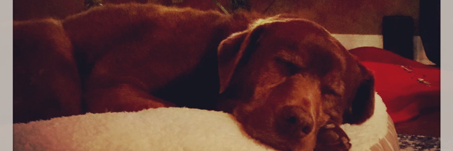 KT_Brown16's profile banner image