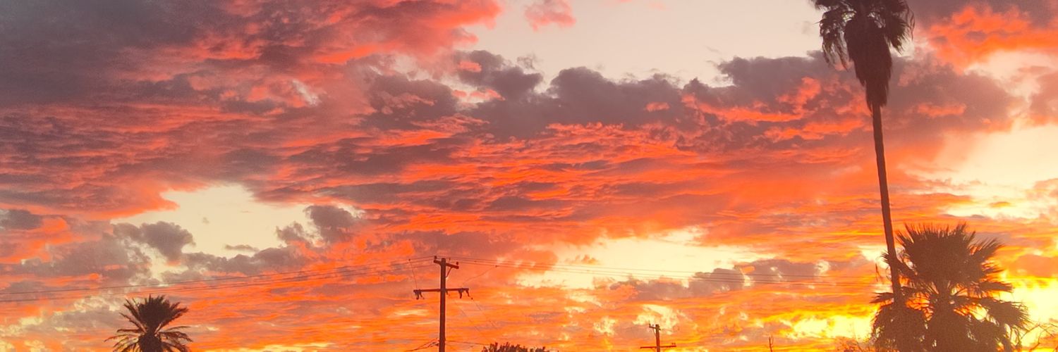 Sean Robert Long banner