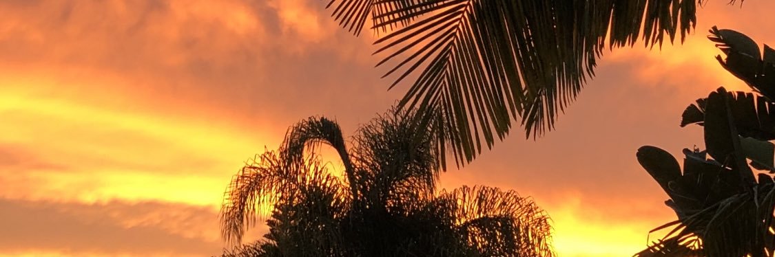 BreeseKyle's profile banner image