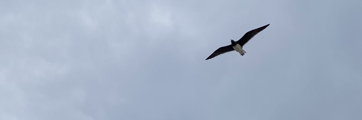 BA5542's profile banner image