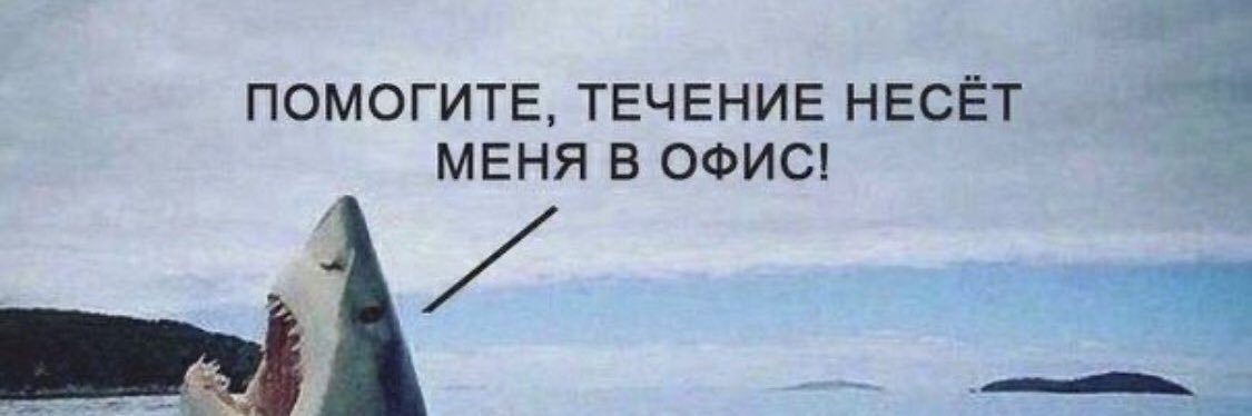 pobirsky_d's profile banner image