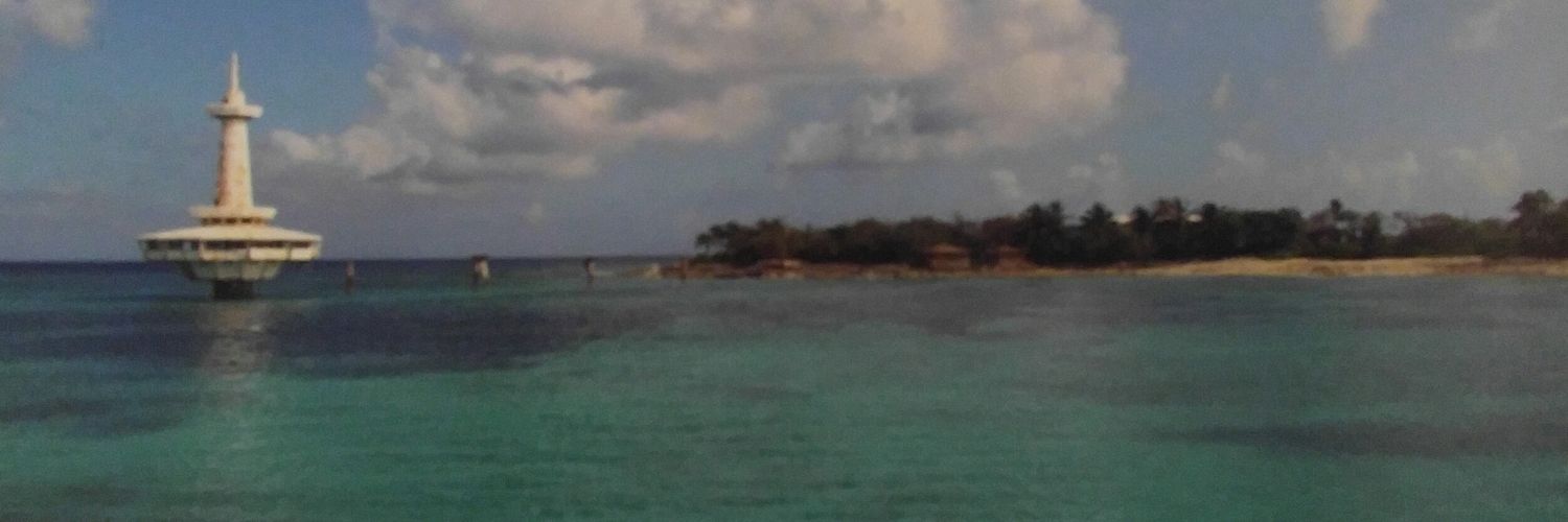 alsdoveAmy's profile banner image