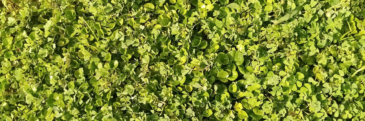 cupcakmike's profile banner image