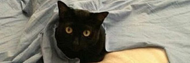 Moniiiibarra's profile banner image