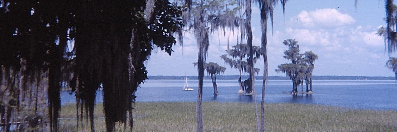 rfkjfk69's profile banner image