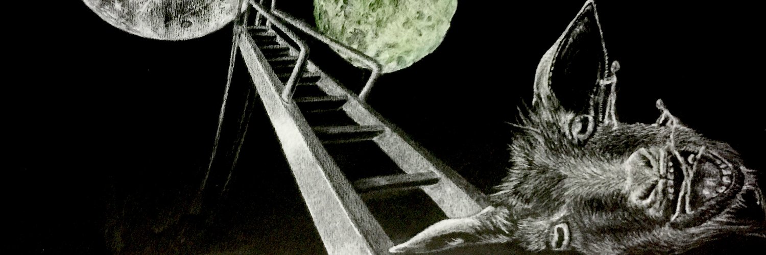 Total BlamBlam banner