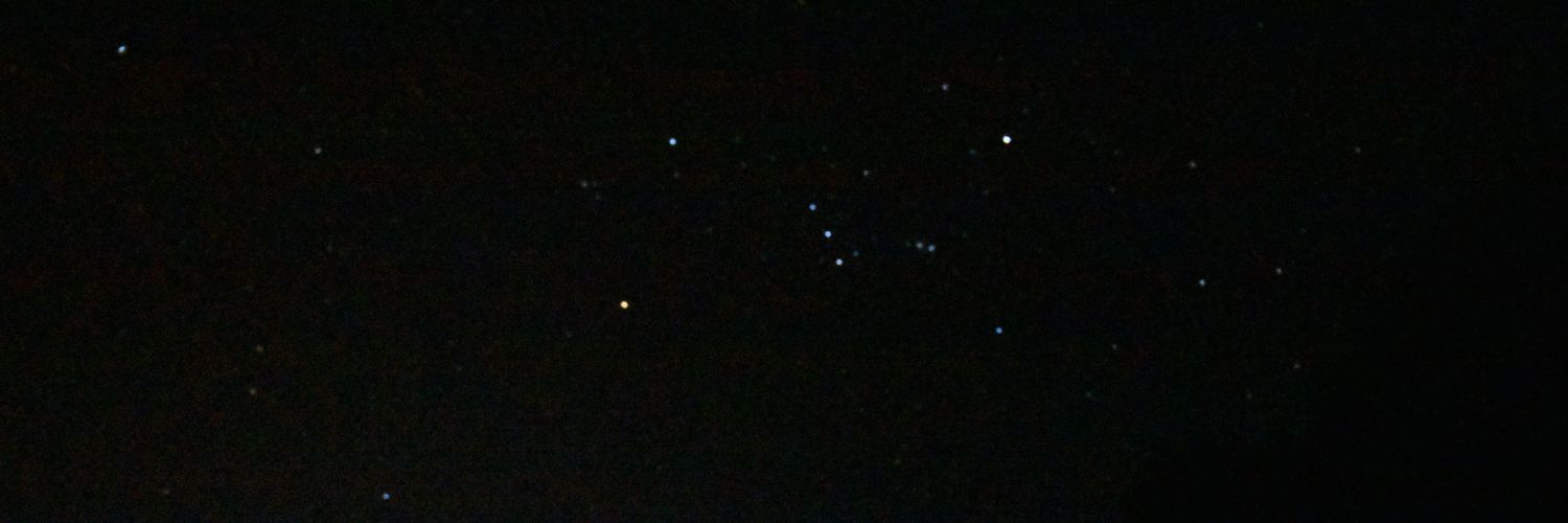 kittyferry's profile banner image