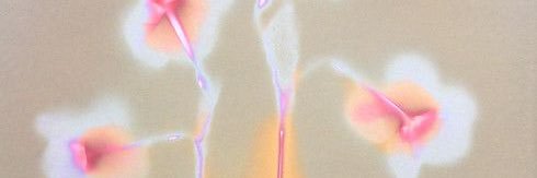 cel1ophne's profile banner image