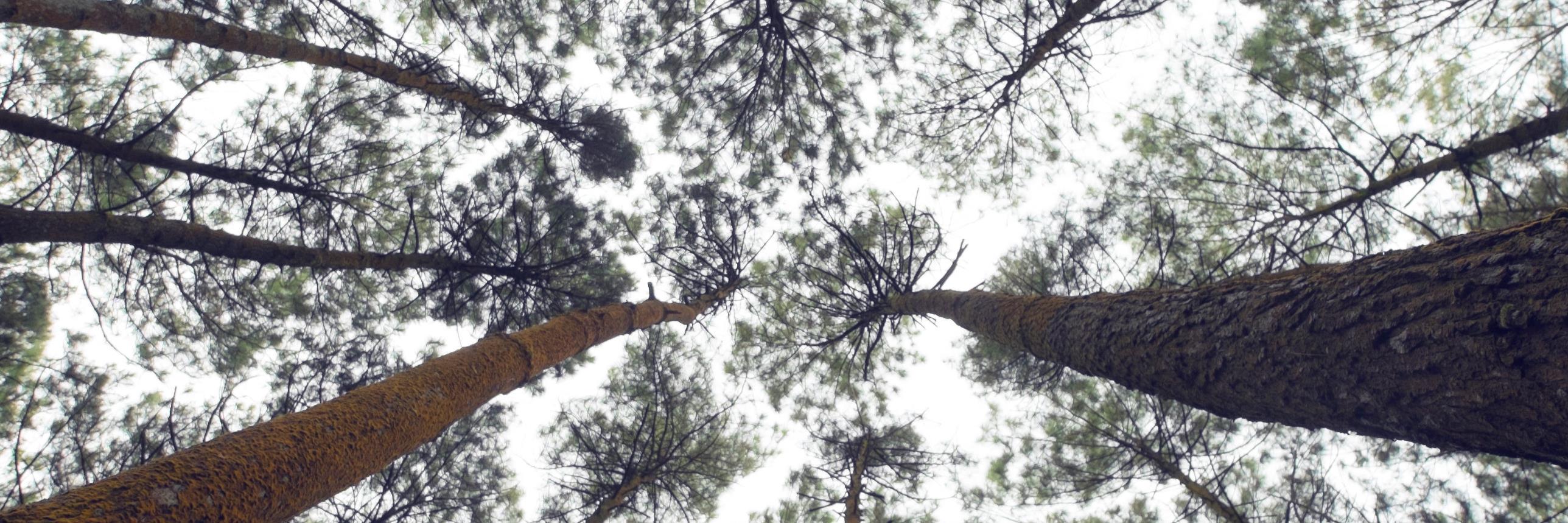 Init4Health #CaithClúdachAghaidhe #SábháilBeathaí. banner