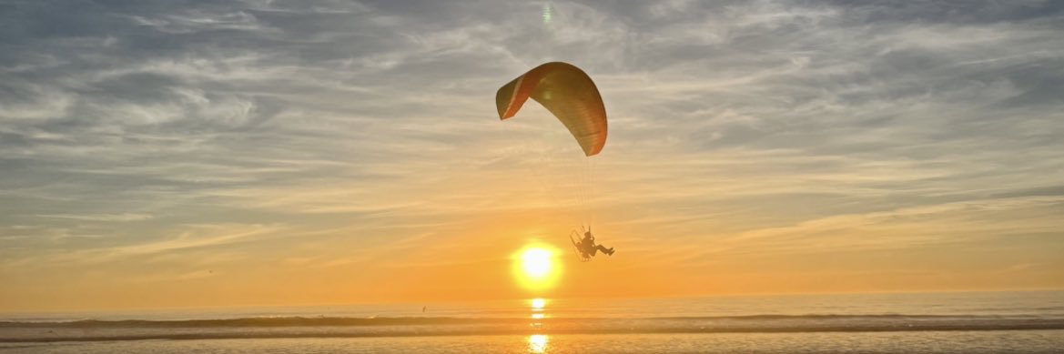 Amanda Herrmann banner