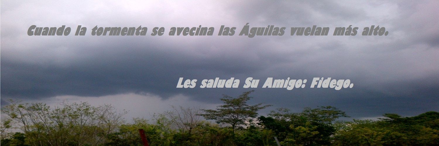 fidego54's profile banner image