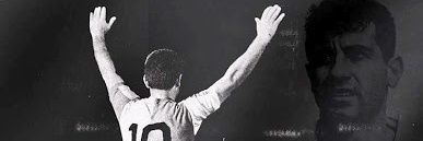 fsahann's profile banner image