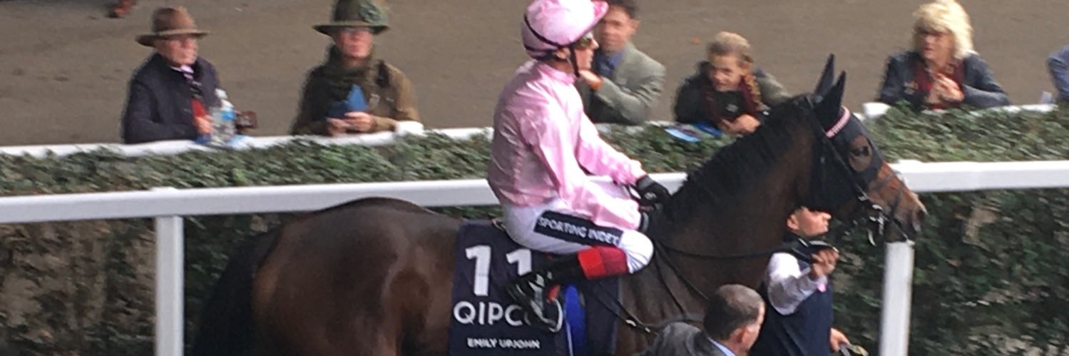 Paul Dewey I.S.M. Racehorse Pedigree Analyst banner