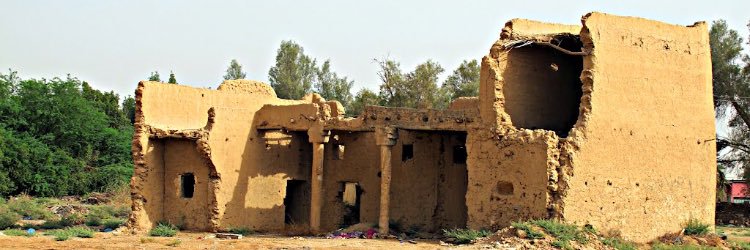 سامي الجلالي banner