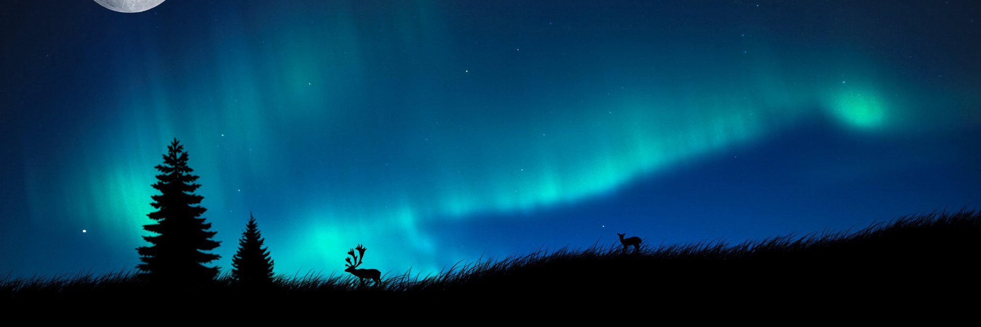 mainelakehopper's profile banner image