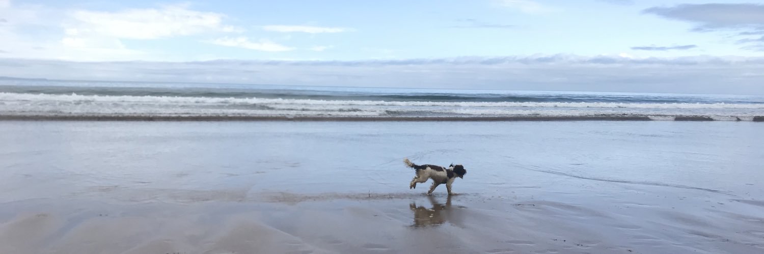 HelloSallyW's profile banner image