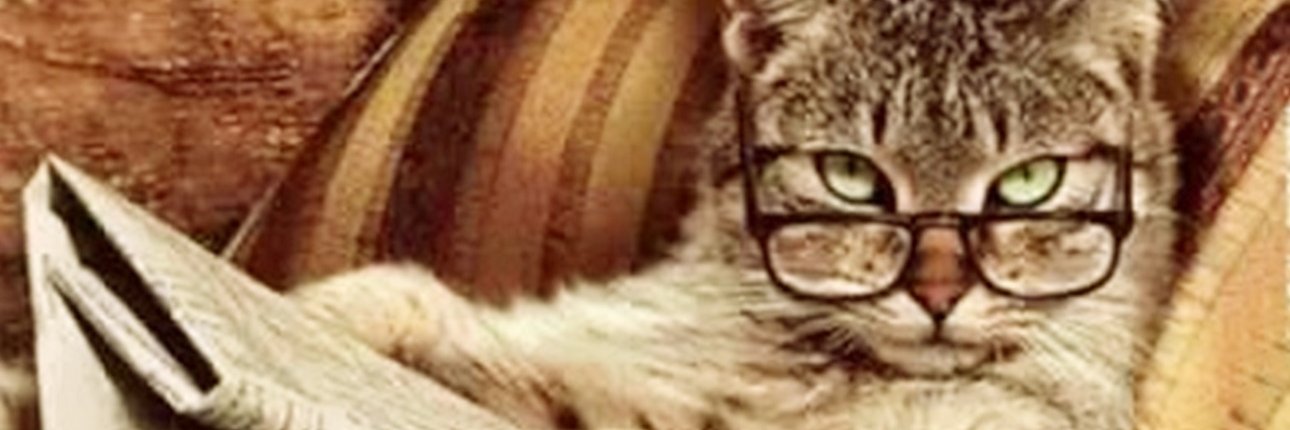 capkronos's profile banner image