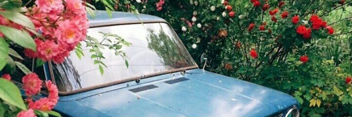_RobySuganda's profile banner image