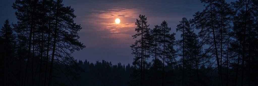 minonen_mojanen's profile banner image