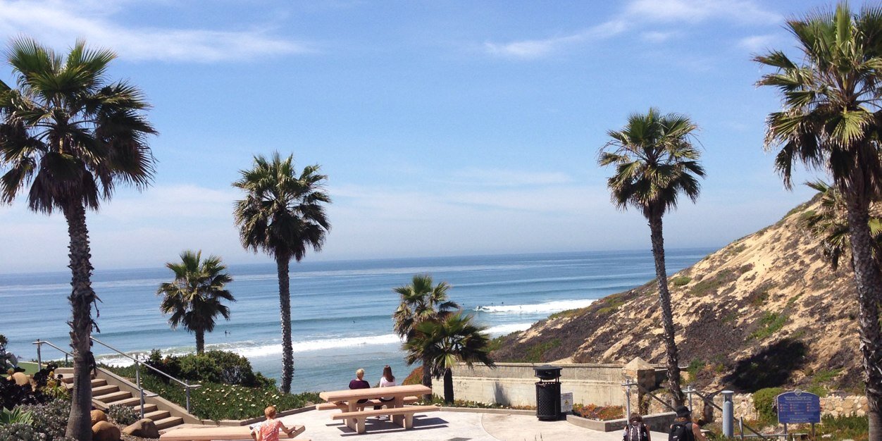 Nila Whitfield banner