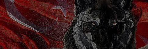 KeepCalmAndAdos's profile banner image