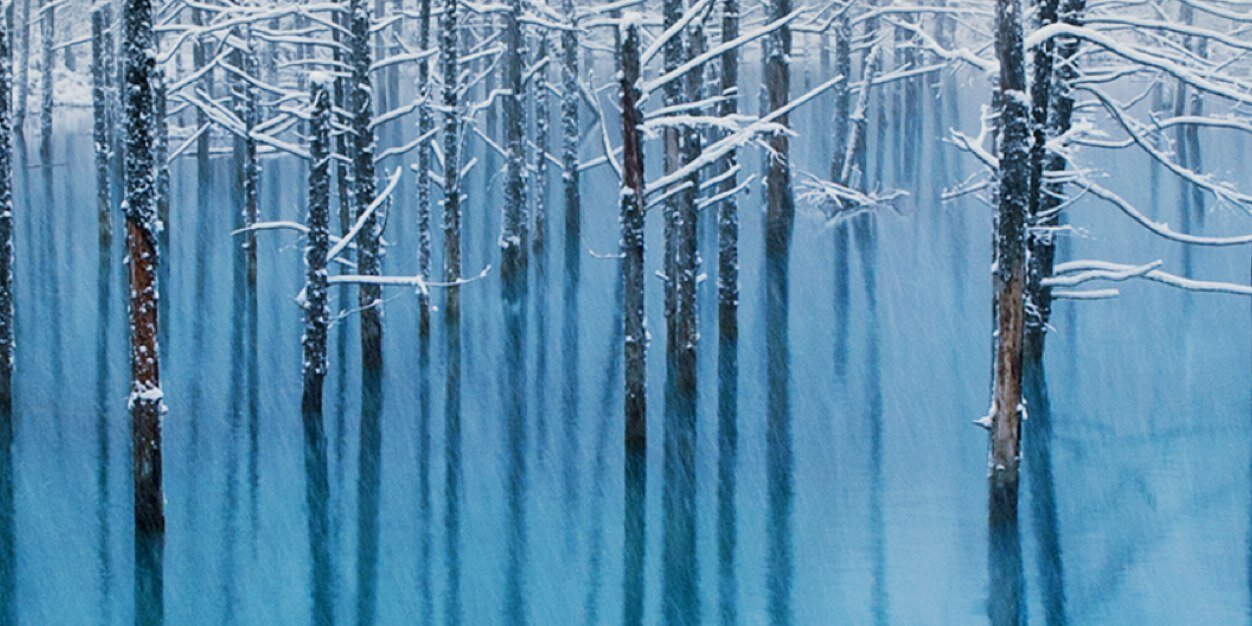 sofialovenash's profile banner image